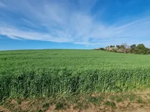 Prodej pole, Rokytnice nad Rokytnou, 25097 m2