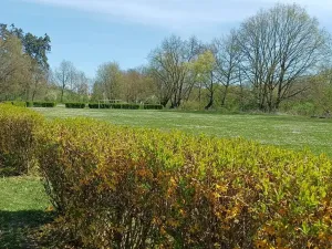 Prodej pozemku pro bydlení, Beřovice, 534 m2