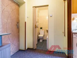 Pronájem bytu 1+1, Slaný, Rabasova, 28 m2