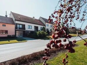 Prodej rodinného domu, Nedachlebice, 410 m2