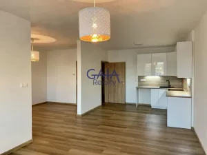 Pronájem bytu 2+kk, Veselí nad Moravou, U Kajetánka, 61 m2