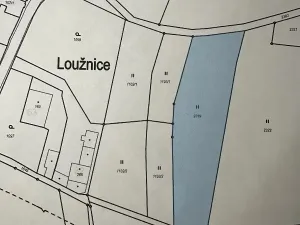Prodej louky, Loužnice, 3786 m2