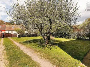 Prodej rodinného domu, Veverská Bítýška, Na Bílém potoce, 188 m2