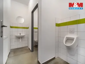 Pronájem výrobních prostor, Albrechtice, 328 m2