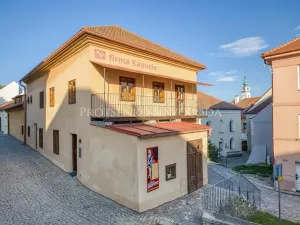 Prodej činžovního domu, Třebíč, Blahoslavova, 533 m2