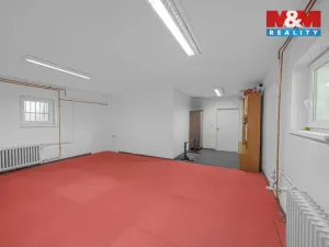 Prodej obchodního prostoru, Hradec Králové - Pražské Předměstí, Seydlerova, 195 m2