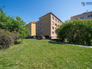 Prodej bytu 2+1, Olomouc, Wolkerova, 60 m2