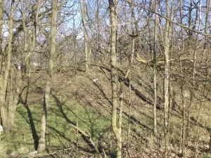 Prodej pozemku, Ústí nad Labem, 7064 m2