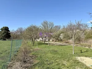 Pronájem zahrady, Olomouc - Hodolany, 1636 m2