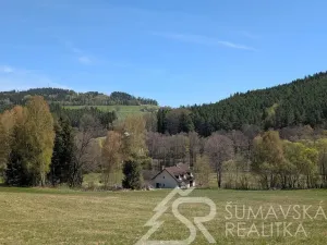 Prodej pozemku, Hartmanice - Chlum, 46489 m2