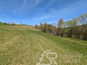 Prodej pozemku, Hartmanice - Chlum, 46489 m2