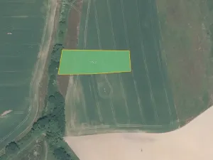 Prodej pole, Vižina, 4827 m2