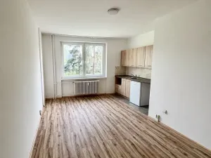 Pronájem bytu 1+kk, Frýdek-Místek, Slezská, 23 m2