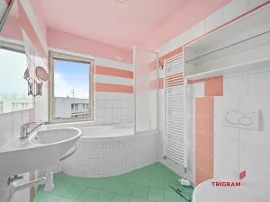 Pronájem rodinného domu, Nechanice, 140 m2