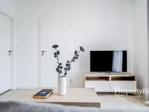 Pronájem bytu 2+kk, Brno - Dolní Heršpice, Havránkova, 43 m2