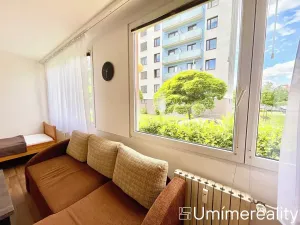 Pronájem bytu 1+1, Mladá Boleslav, Zalužanská, 42 m2