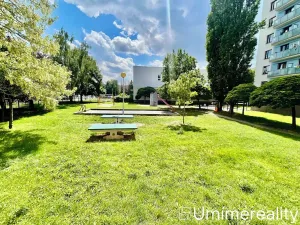 Pronájem bytu 1+1, Mladá Boleslav, Zalužanská, 42 m2