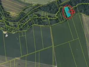 Prodej podílu lesa, Pertoltice, 4226 m2