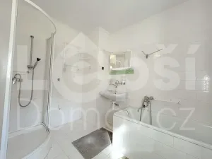 Prodej rodinného domu, Vlčice, 185 m2