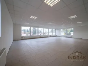 Prodej obchodního prostoru, Nový Jičín, Hřbitovní, 726 m2