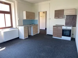 Prodej vícegeneračního domu, Žatec, náměstí 5. května, 400 m2