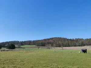 Prodej pozemku pro bydlení, Horažďovice, 1125 m2