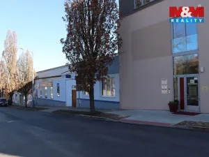 Prodej obchodního prostoru, Mělník, Krombholcova, 300 m2