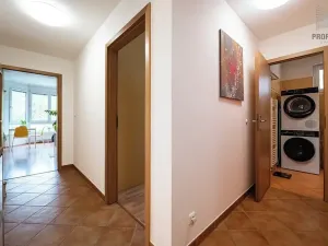 Prodej bytu 2+kk, Brno, Trýbova, 56 m2