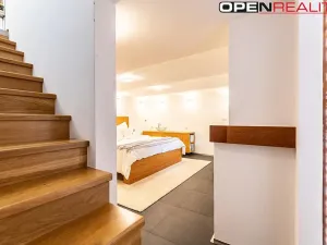 Prodej vícegeneračního domu, Dolní Bojanovice, Vinařská, 367 m2