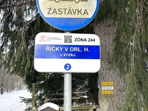 Prodej pozemku pro bydlení, Říčky v Orlických horách, 5940 m2