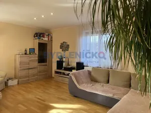 Pronájem rodinného domu, Litvínovice, Mokré - Jih, 174 m2