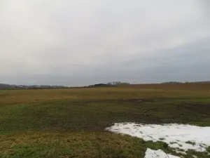 Dražba louky, Račice nad Trotinou, 18528 m2