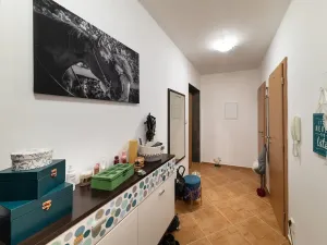 Prodej bytu 2+kk, Chotěšov, Nová, 56 m2