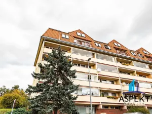 Prodej bytu 4+kk, Praha - Žižkov, Nad Ohradou, 94 m2