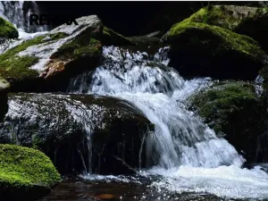 Prodej rodinného domu, Široká Niva, 135 m2