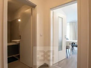 Pronájem bytu 1+kk, Beroun, Na Veselou, 44 m2