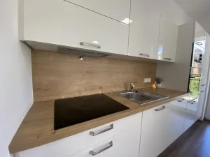 Pronájem bytu 2+kk, Brno - Královo Pole, Kollárova, 85 m2