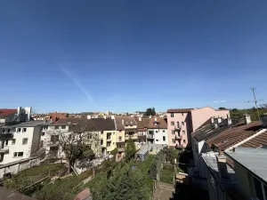 Pronájem bytu 2+kk, Brno - Černovice, Řehořova, 26 m2