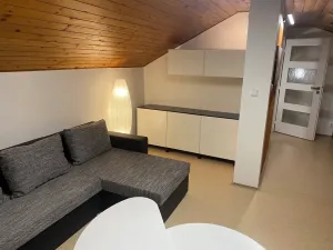 Pronájem bytu 2+1, Olomouc, Helceletova, 128 m2