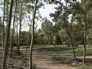 Prodej bytu 3+kk, Brno, Mírová, 66 m2