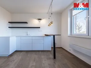 Prodej bytu 1+kk, Doubravčice, V bytovkách, 35 m2