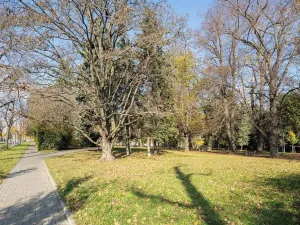 Prodej bytu 4+1, Brno, Jugoslávská, 120 m2