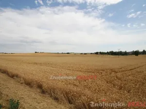 Prodej pole, Blanné, 24000 m2