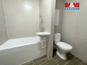 Pronájem bytu 1+1, Sokolov, Křížová, 40 m2