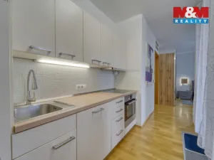 Prodej bytu 1+kk, Praha - Žižkov, Malešická, 38 m2