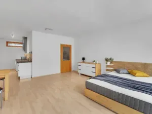 Pronájem bytu 1+kk, Hradec Králové, Kollárova, 46 m2