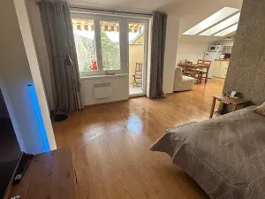 Pronájem bytu 1+kk, Slapy, 31 m2