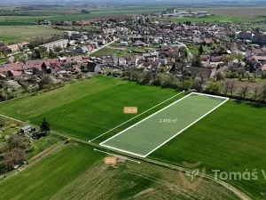 Prodej pole, Ořechov, 2450 m2