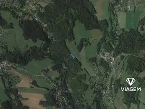 Prodej lesa, Loužnice, 2217 m2