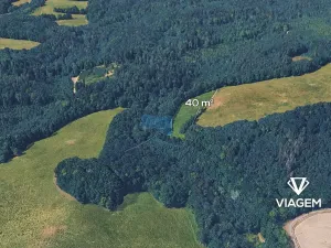 Prodej podílu lesa, Životice u Nového Jičína, 2098 m2